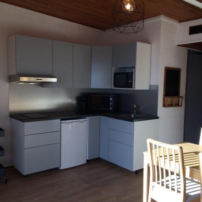 Location au ski Appartement 1 pièces 4 personnes (C43) - Résidence Toussuire - La Toussuire - Kitchenette