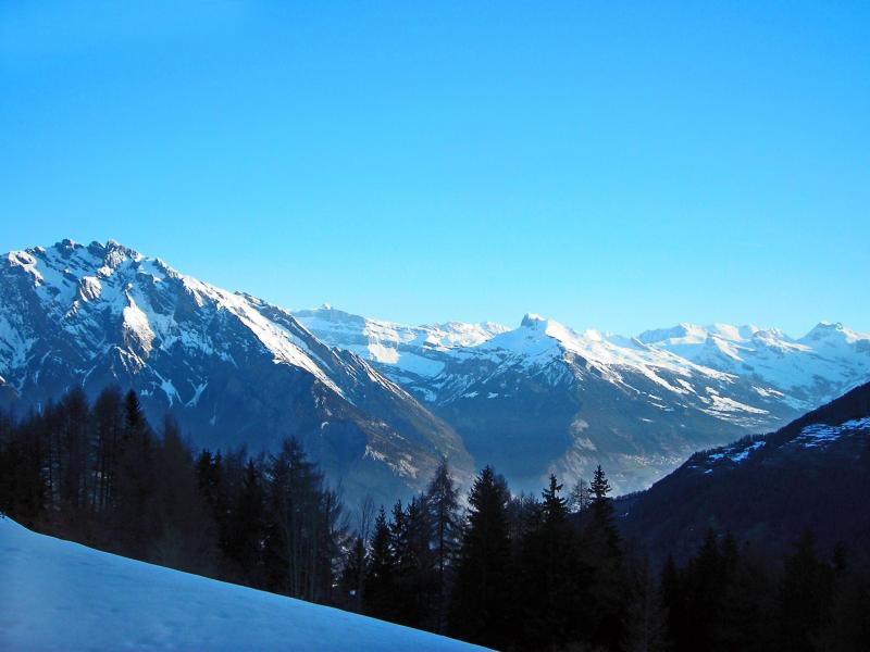 Location au ski Chalet Charmille - La Tzoumaz - Extérieur hiver