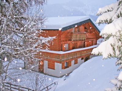Vacances en montagne Chalet Harmonie - La Tzoumaz - Extérieur hiver