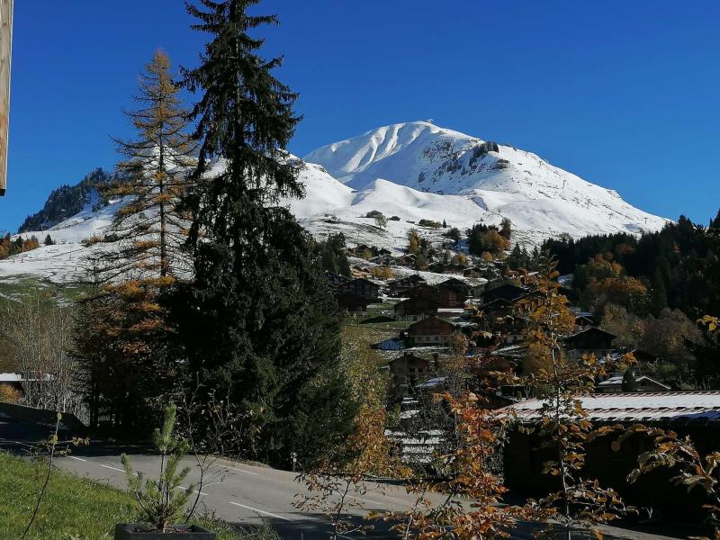 Rent in ski resort 2 room apartment cabin 6 people (01) - Les Chalets du Diamant Noir - Le Grand Bornand