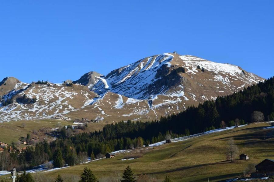 Rent in ski resort Studio sleeping corner 4 people (10) - Résidence des Cascades - Le Grand Bornand