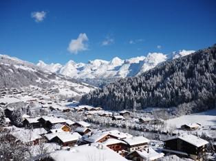 Location au ski Studio coin montagne 4 personnes (1D) - Résidence l'Erable - Le Grand Bornand