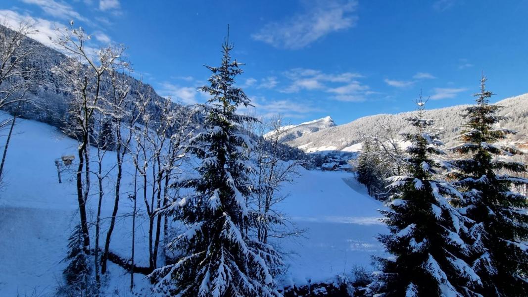Alquiler al esquí Estudio para 2 personas (1521) - Résidence le Tardevant - Le Grand Bornand