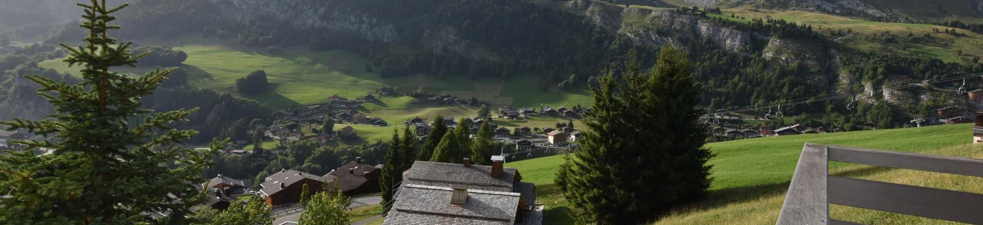 Soggiorno sugli sci Chalet su 3 piani 6 stanze per 11 persone - Chalet d'Anne - Le Grand Bornand - Balcone