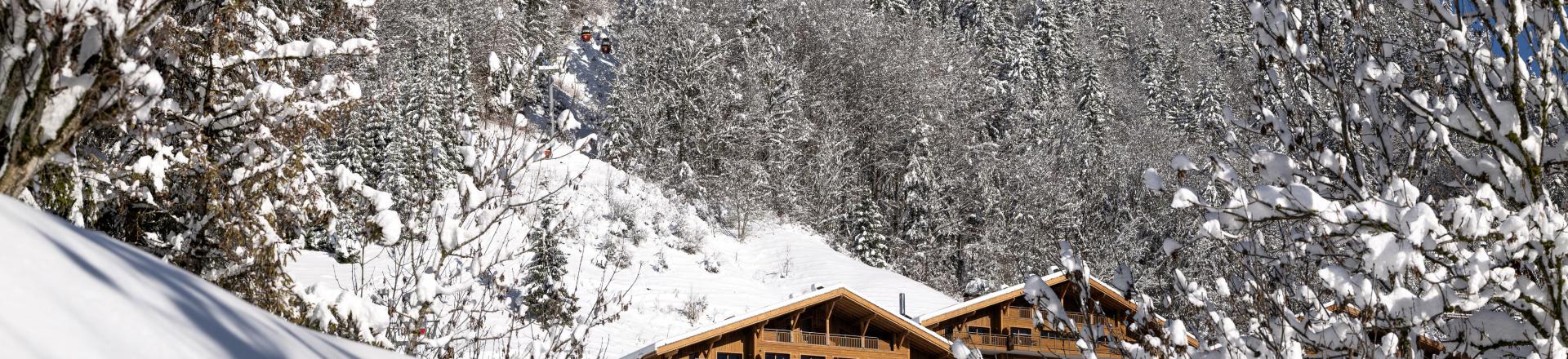 Location au ski Résidence les Chalets de Joy - Le Grand Bornand - Extérieur hiver