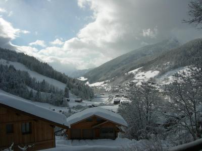 Alquiler al esquí Apartamento 2 piezas para 4 personas - Boitivet - Le Grand Bornand