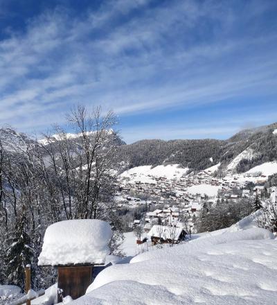 Wakacje w górach Apartament 3 pokojowy kabina 6 osób - Chalet les Primevères - Le Grand Bornand - Zima na zewnątrz