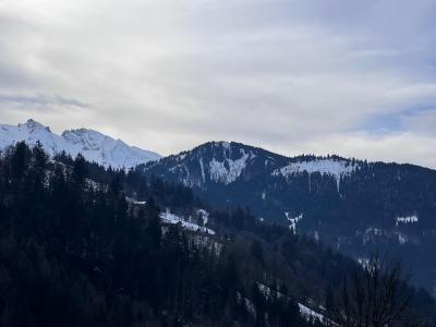 Skiverleih Studio Kabine für 4 Personen - Maclé des Frasses - Le Grand Bornand - Draußen im Winter