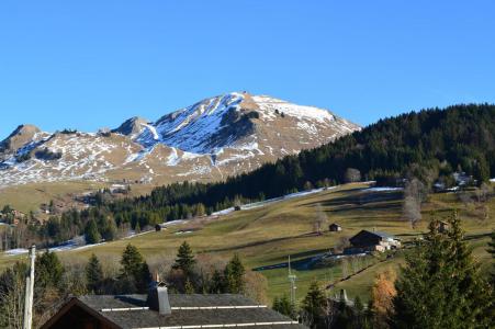Ski verhuur Studio bergnis 4 personen (10) - Résidence des Cascades - Le Grand Bornand
