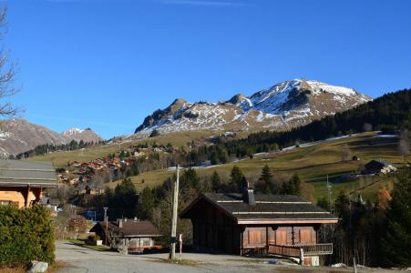 Rent in ski resort Studio sleeping corner 4 people (10) - Résidence des Cascades - Le Grand Bornand
