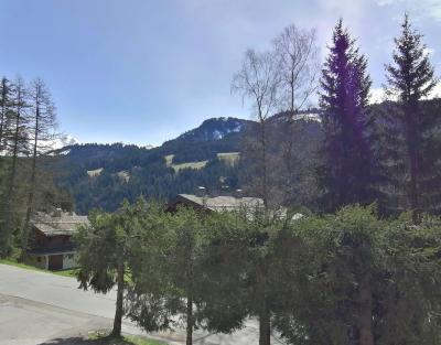 Location au ski Studio 4 personnes (1B) - Résidence Edelweiss - Le Grand Bornand