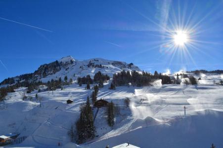 Alquiler al esquí Apartamento 2 piezas para 5 personas (2B) - Résidence le Planay - Le Grand Bornand