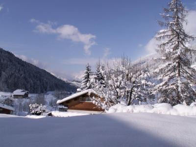Бронирование резиденции на лыжном курорт Résidence les Dodes