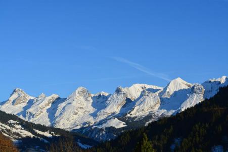 Rent in ski resort 3 room apartment 6 people (02) - Résidence les Flocons - Le Grand Bornand