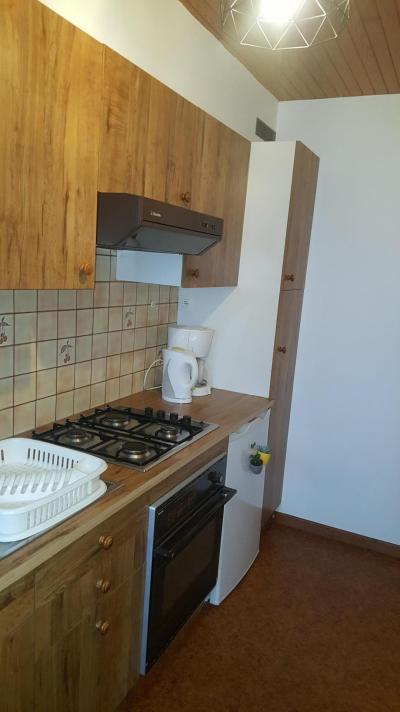 Location au ski Appartement 2 pièces 4 personnes (1) - Résidence les Raverettes - Le Grand Bornand - Kitchenette