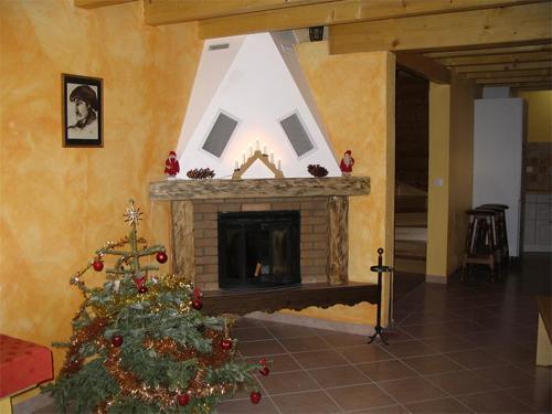 Skiverleih 6-Zimmerhaus für 12 Personen - Maison Montagnarde Les Copains - Les 2 Alpes - Kamin