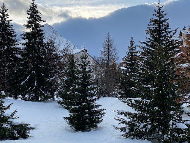 Аренда на лыжном курорте Квартира студия со спальней для 5 чел. (824) - Résidence Côte Brune 3 - Les 2 Alpes