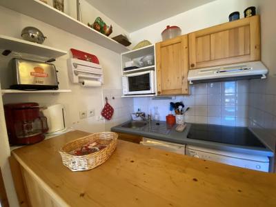 Location au ski Appartement 2 pièces 5 personnes (855) - FLOCON D'OR - Les 2 Alpes