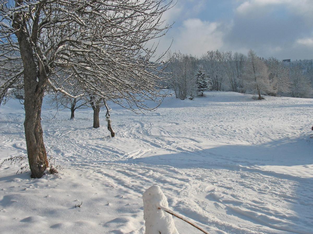 Chalet triplex 7 pièces 12 personnes
