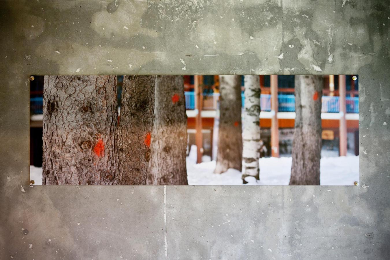 Studio coin montagne 5 personnes (0966)