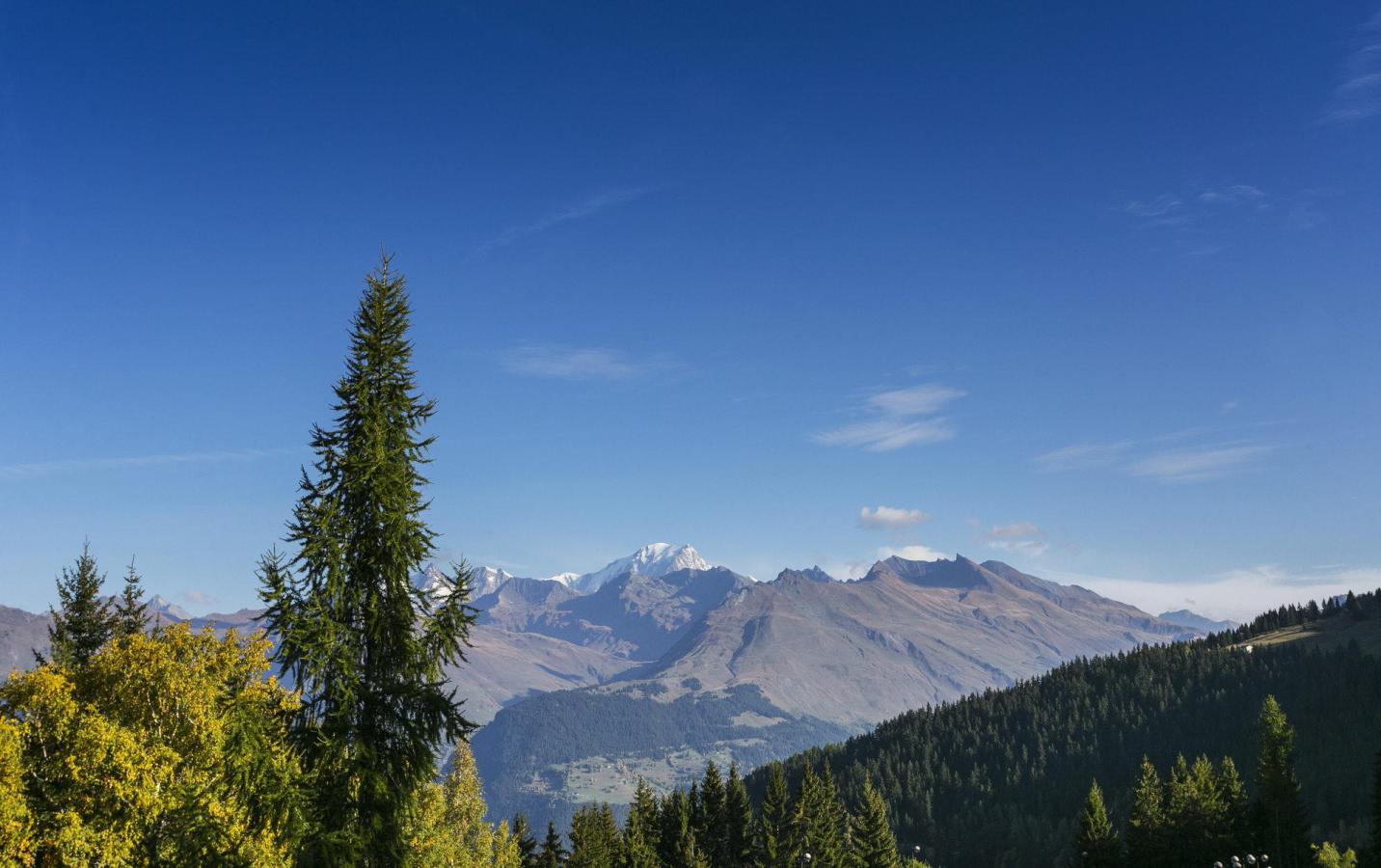 Studio coin montagne 5 personnes (1695)