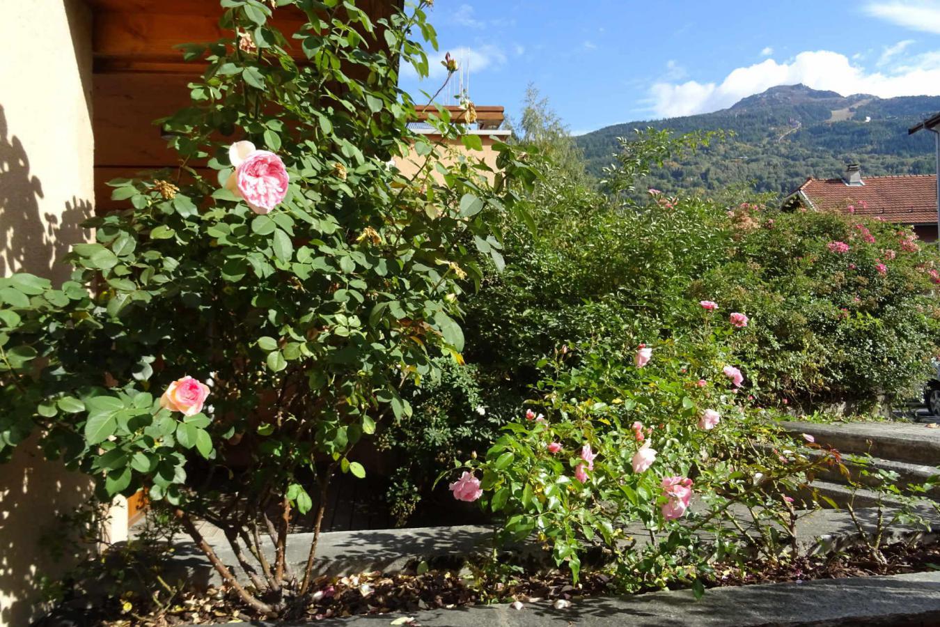 Appartement 3 pièces 6 personnes (06)