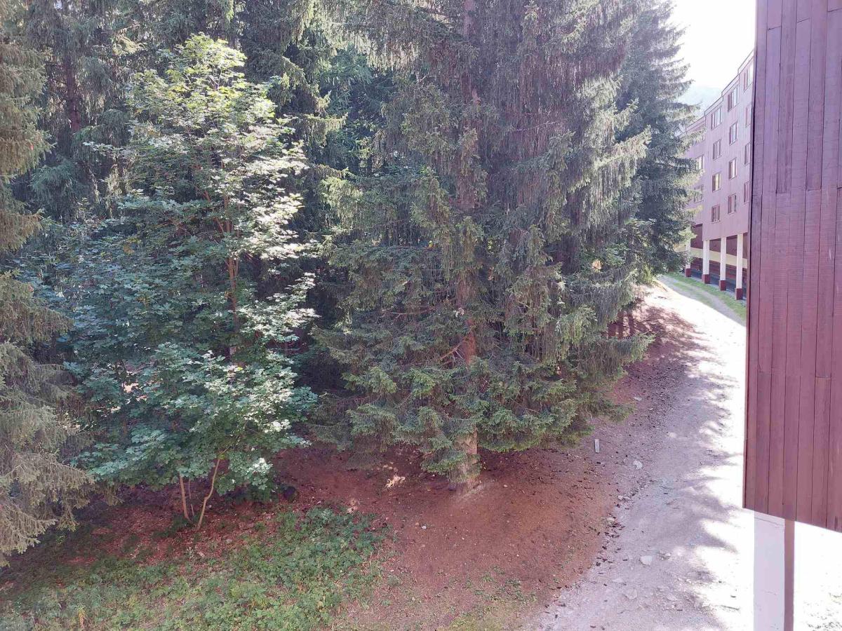 Studio 2 personnes (831)