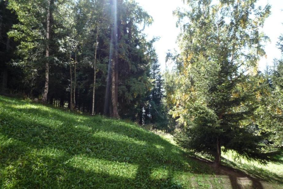 Studio coin montagne 4 personnes (117)