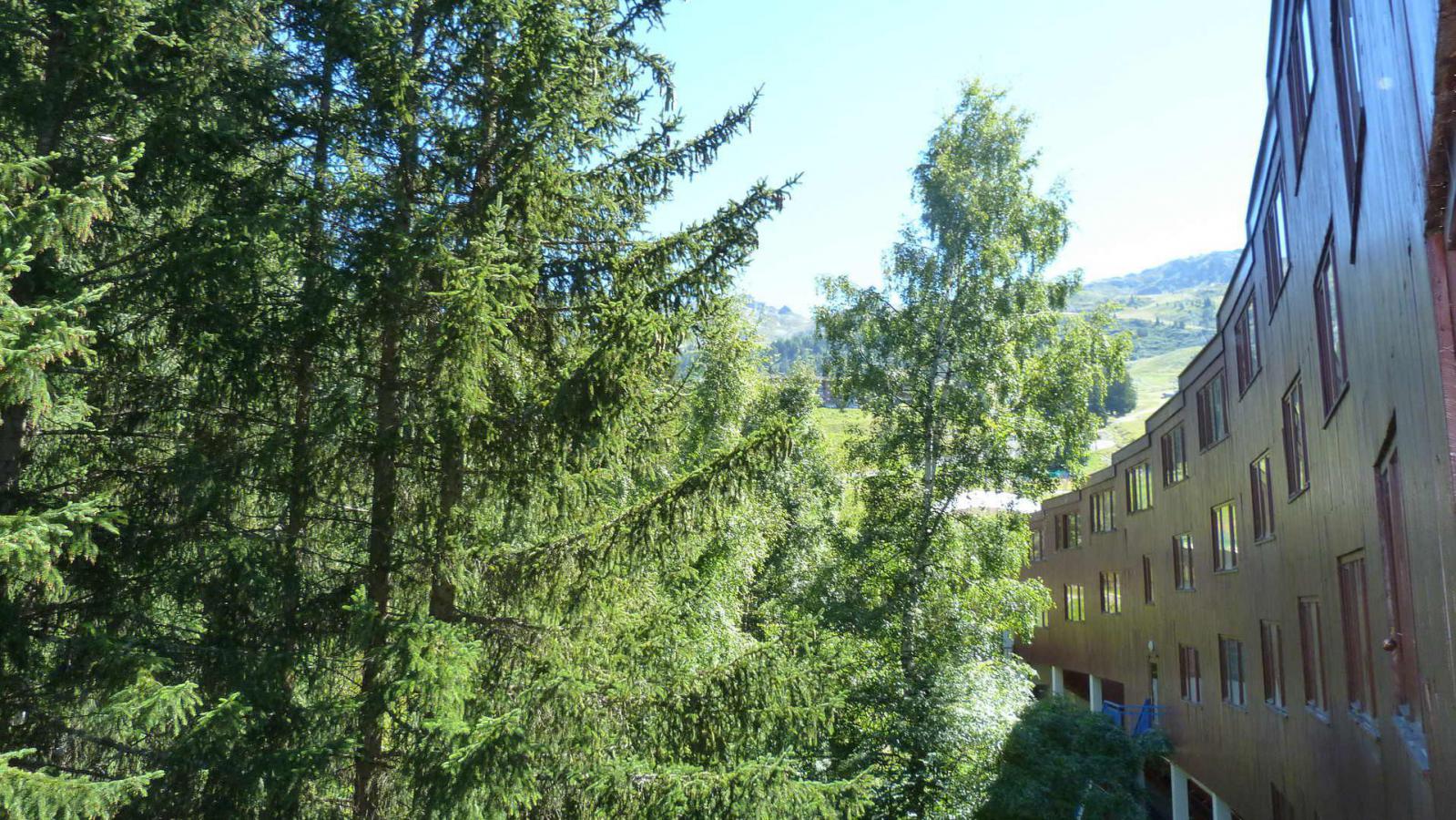 Studio 3 personnes (1247)