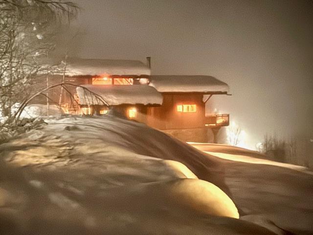 Rent in ski resort  (Chalet des Cerfs) - Les Chalets de la Croisette - Les Arcs - Winter outside