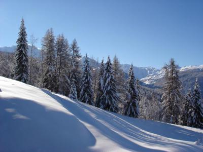 Alquiler al esquí Estudio -espacio montaña- para 4 personas (719) - La Résidence le Grand Arbois - Les Arcs