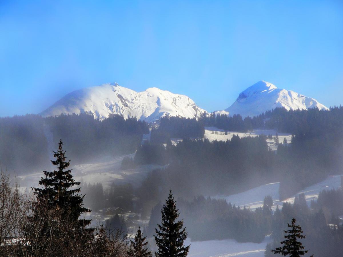 Chalet 5 pièces 12 personnes