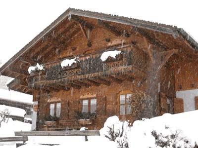 Rent in ski resort 4 room chalet 10 people - Chalet Baquera - Les Gets - Winter outside