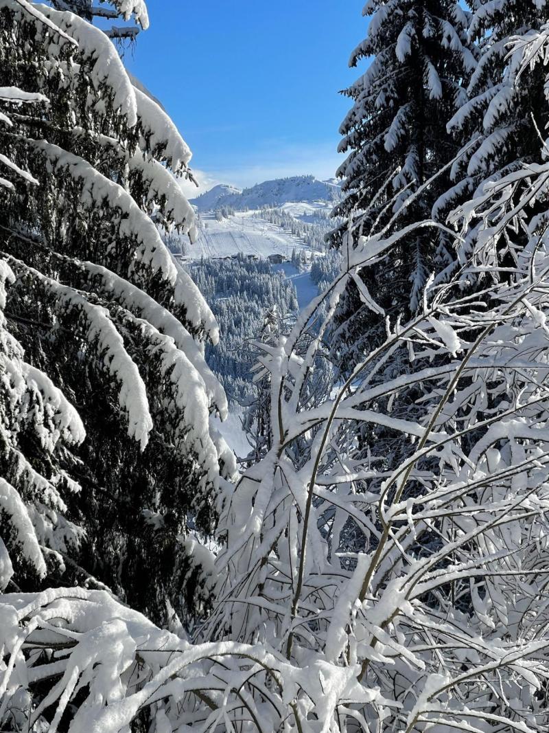 Rent in ski resort 5 room duplex chalet 8 people - Chalet Bleu - Les Gets - Winter outside