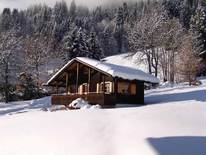 Skiverleih 3-Zimmer-Appartment für 4 Personen - Chalet le Benevy - Les Gets - Draußen im Winter