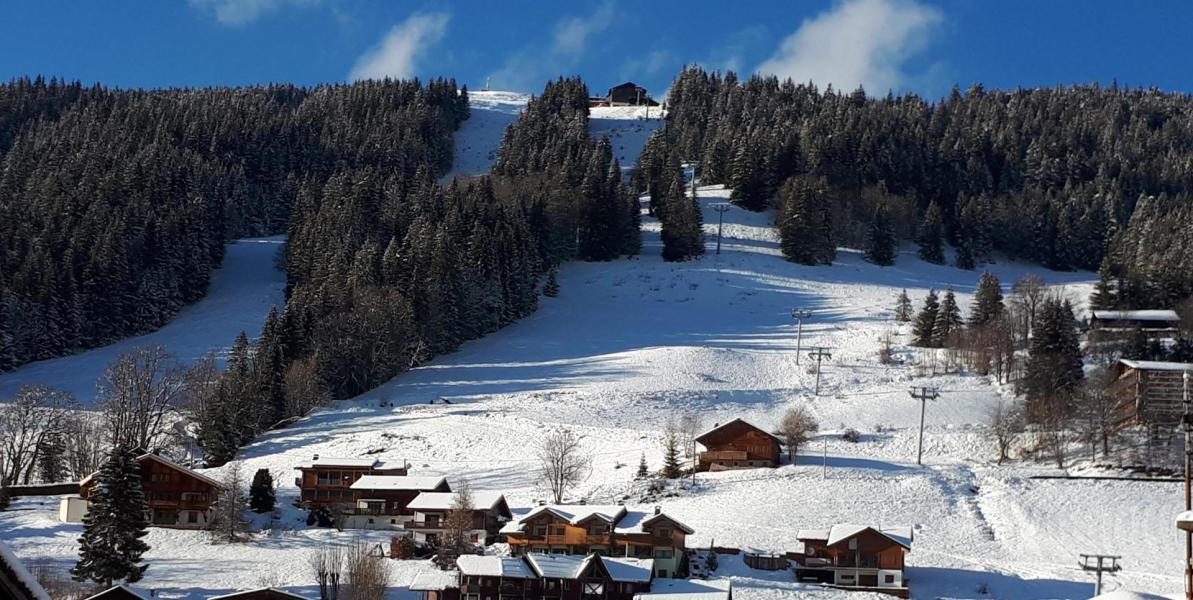 Soggiorno sugli sci Appartamento 3 stanze per 6 persone - Résidence Aulnaie - Les Gets - Esteriore inverno