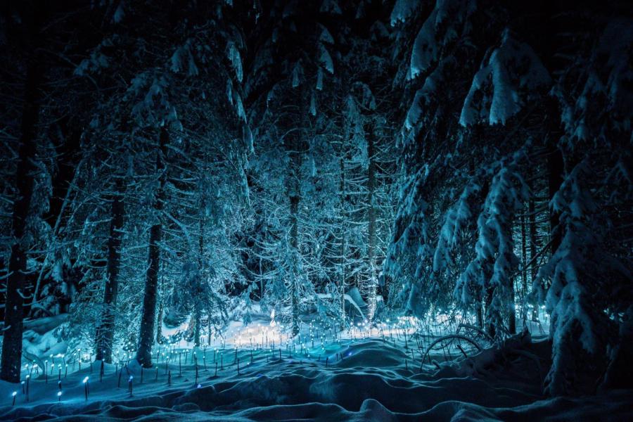 Ski verhuur Résidence Aulnaie - Les Gets