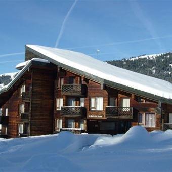 Urlaub in den Bergen Wohnung 2 Mezzanine Zimmer 4 Leute - Résidence Bois de Lune  - Les Gets - Draußen im Winter