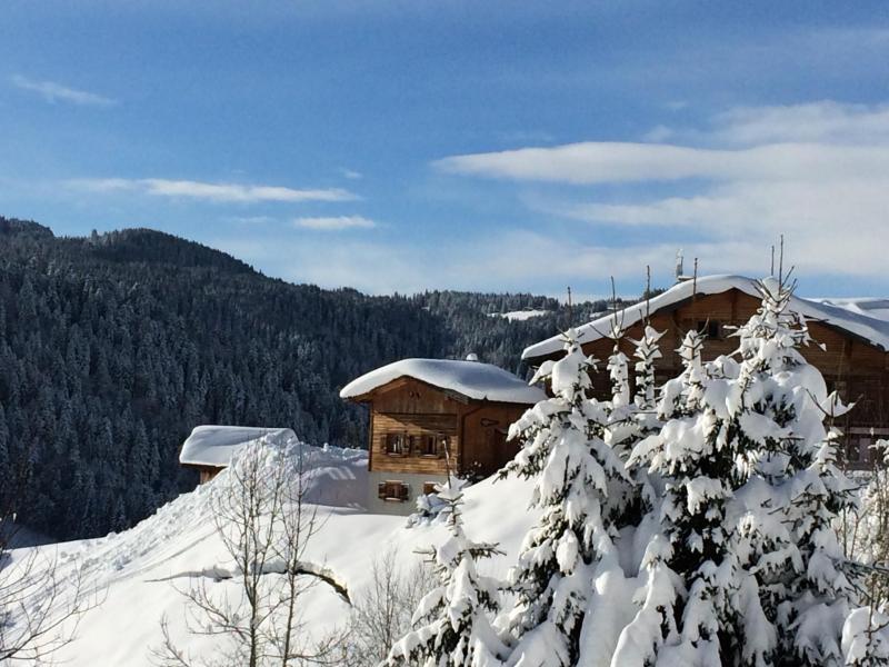 Ski verhuur Chalet 3 kamers 5 personen - Résidence Chez Rose - Les Gets - Buiten winter