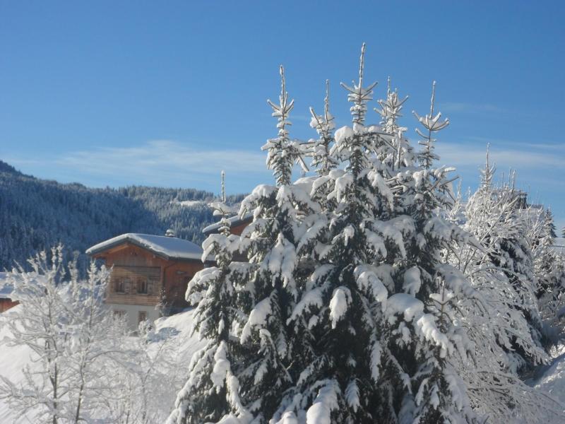 Urlaub in den Bergen 3 Zimmer Chalet für 5 Personen - Résidence Chez Rose - Les Gets - Draußen im Winter
