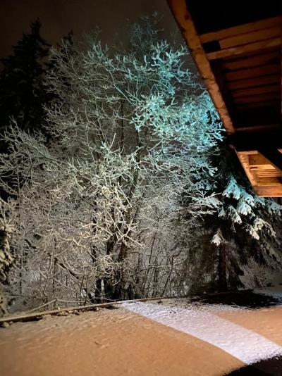 Location au ski Chalet triplex 6 pièces 10 personnes - Chalet Ancolie - Les Gets - Extérieur hiver