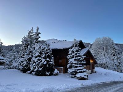 Rental Les Gets : Chalet Bleu summer
