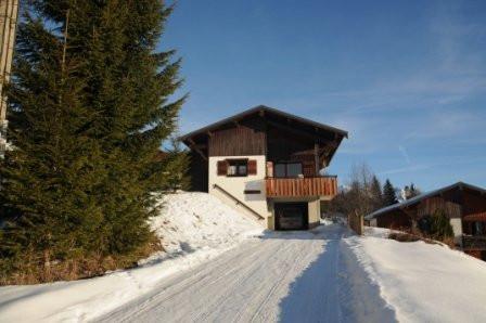 Rent in ski resort 4 room chalet 8 people - Chalet Paille en Queue - Les Gets - Winter outside