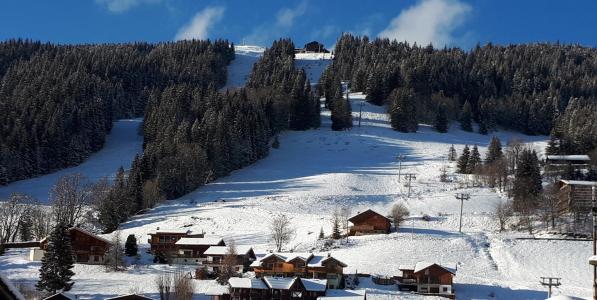 Soggiorno sugli sci Appartamento 3 stanze per 6 persone - Résidence Aulnaie - Les Gets - Esteriore inverno