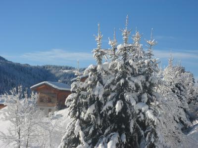 Skiverleih 3 Zimmer Chalet für 5 Personen - Résidence Chez Rose - Les Gets - Draußen im Winter