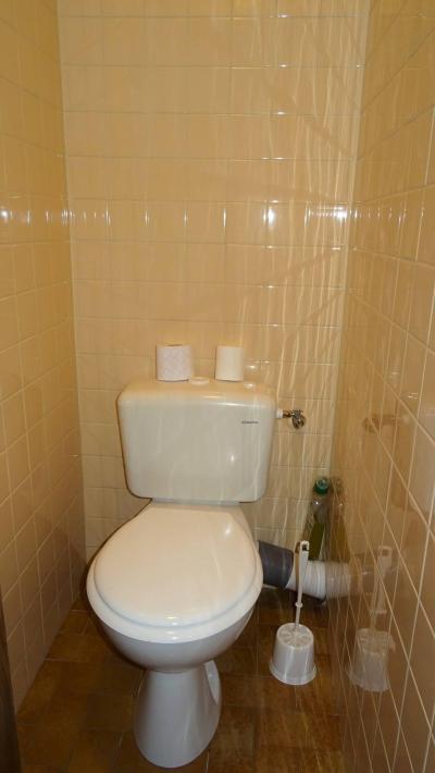 Skiverleih 2-Zimmer-Appartment für 4 Personen (153) - Résidence Galaxy  - Les Gets - WC