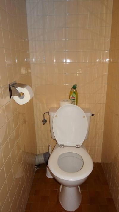 Alquiler al esquí Apartamento 3 piezas para 6 personas (141) - Résidence Galaxy  - Les Gets - WC