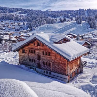 Rent in ski resort Résidence la Sapinière - Les Gets - Winter outside