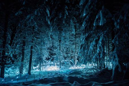 Location au ski Résidence Rhodos - Les Gets - Extérieur hiver