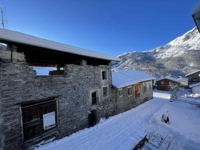 Location au ski Chalet Aster - Les Menuires - Extérieur hiver